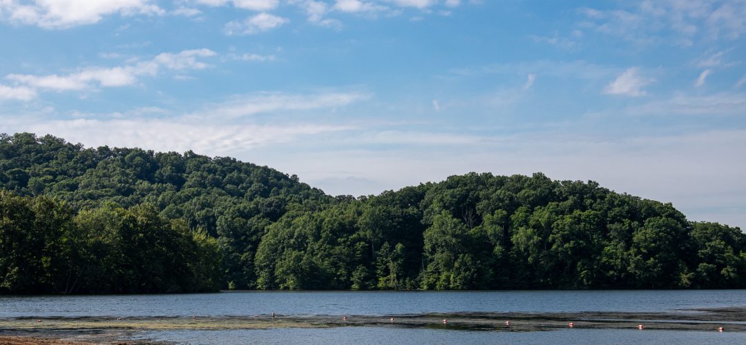 Starve Hollow State Recreation Area