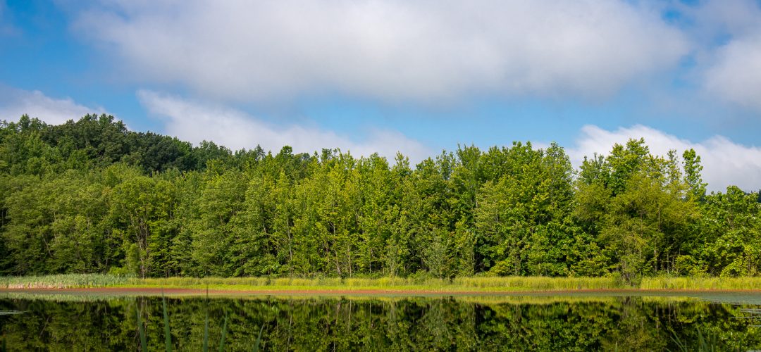 Muscatatuck National Wildlife Refuge