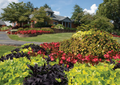 Schneider Nursery